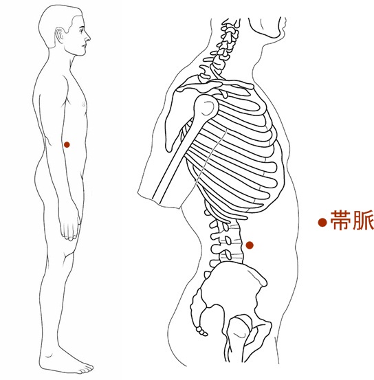 腕の挙上と帯脈(お腹横のツボ) きむら鍼灸治療院・整体院